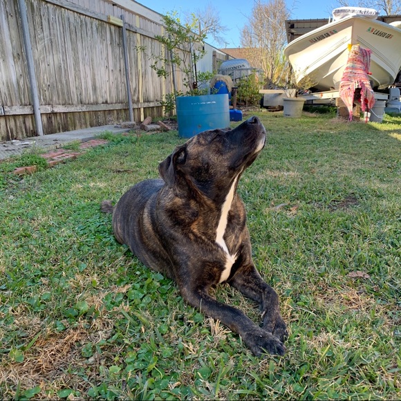 Meet Your Posher - Picture 2 of 2